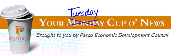 Tuesday Cup Image